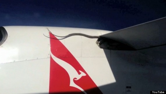 snake on a plane