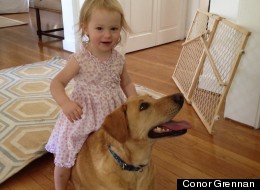The Messy Joy of Babies and Dogs
