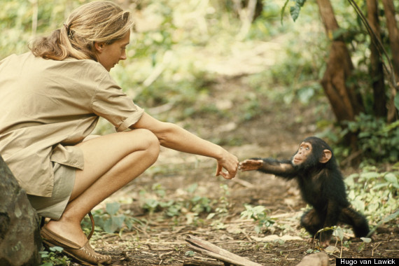 national geographic
