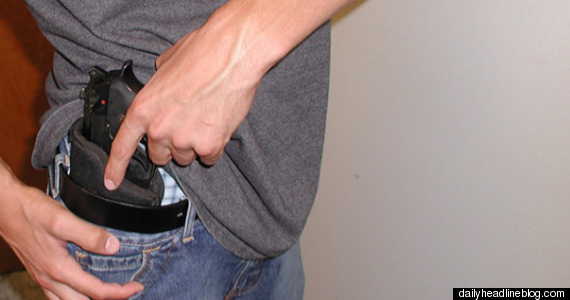 Gun