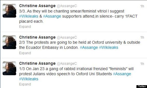 christine assange