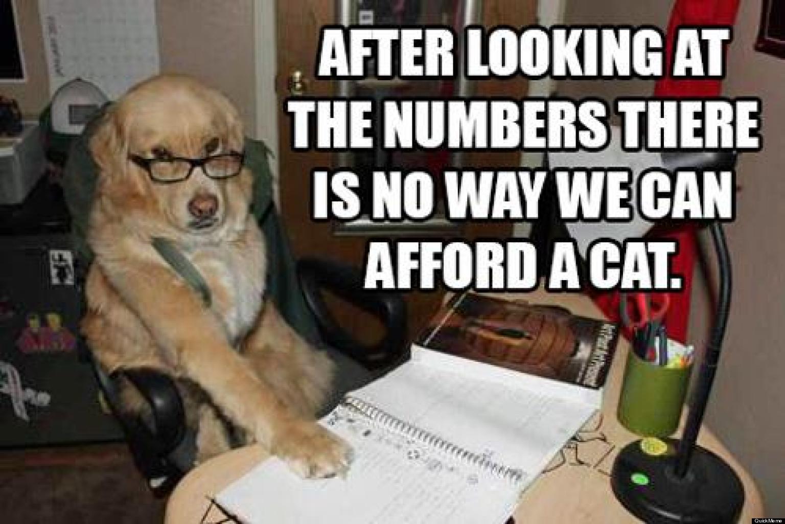 Tax Return Problems? Ask Financial Advice Dog! | HuffPost UK