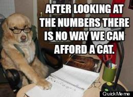 LOOK: Financial Advice Dog Is Here To Help You