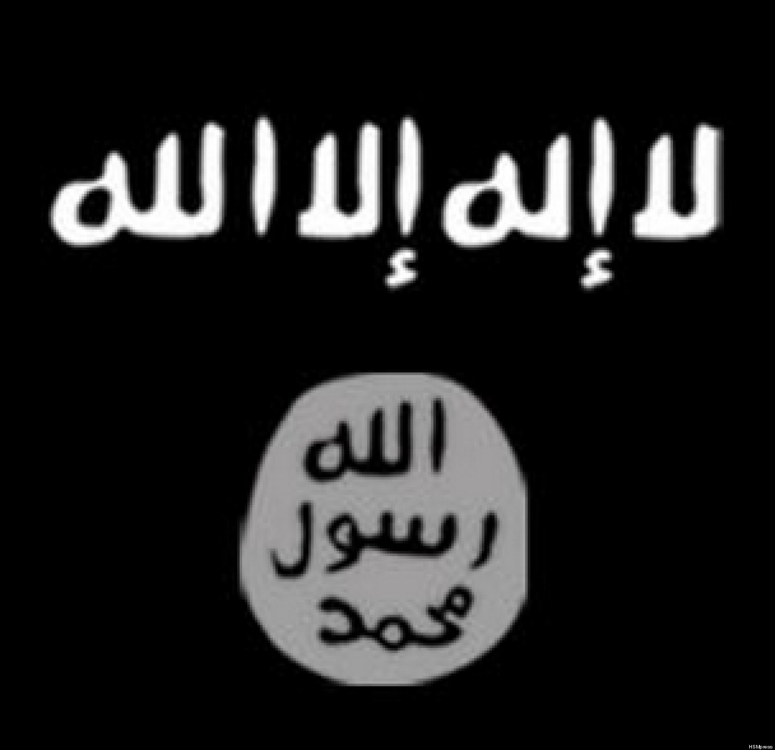 Al Qaeda Essays