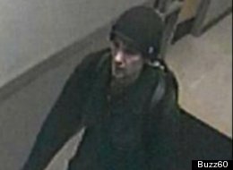 Have You Seen The Bathroom Bandit?
