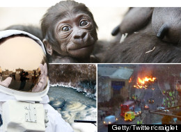 Pictures Of The Day: 16th January 2013