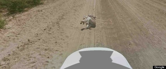 Burro Muerto Google Street View