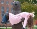 21 People Having Too Much Fun With Statues