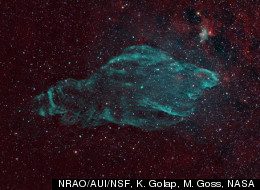 LOOK: Celestial Wonder Looks Uncannily Like Animal