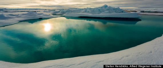 Arctic Sea Ice Decline