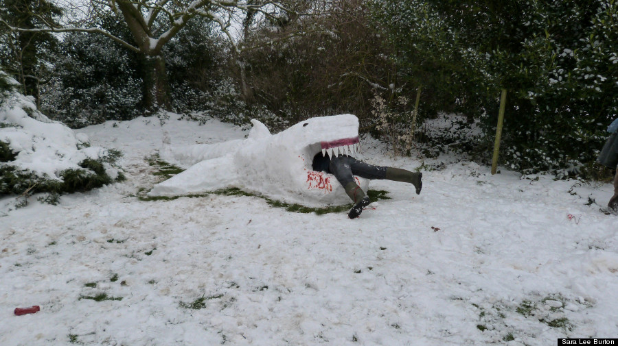 snow shark