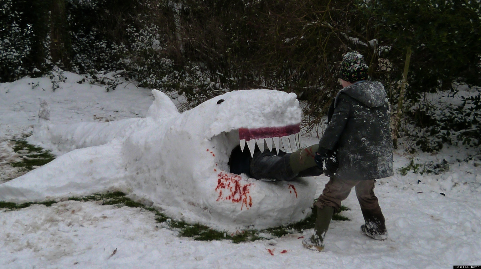 Snow Sharks