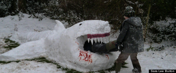 Snow Shark