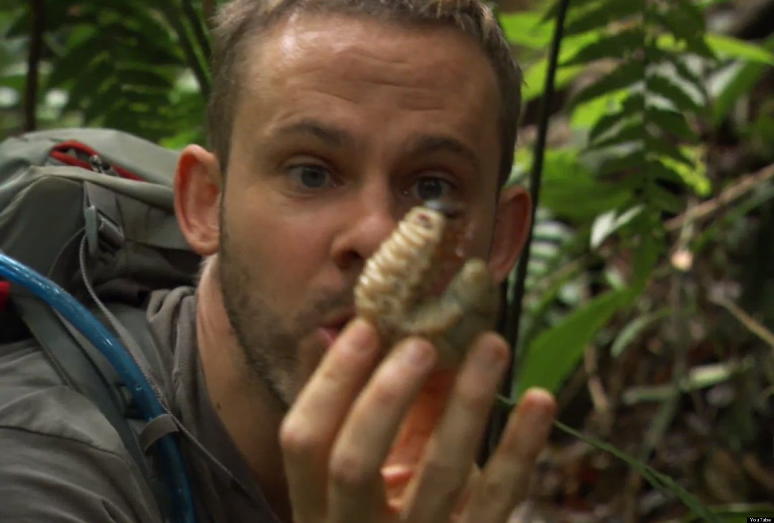 why-dominic-monaghan-loves-wild-things-huffpost