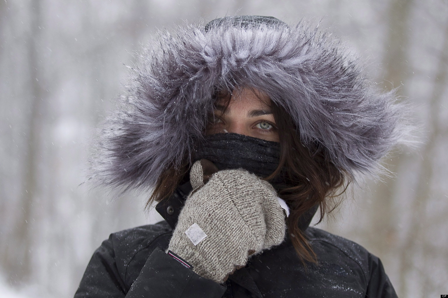 arctic-air-mass-brings-frigid-blast-to-much-of-canada