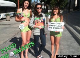 A Week In The Life Of A PETA Employee