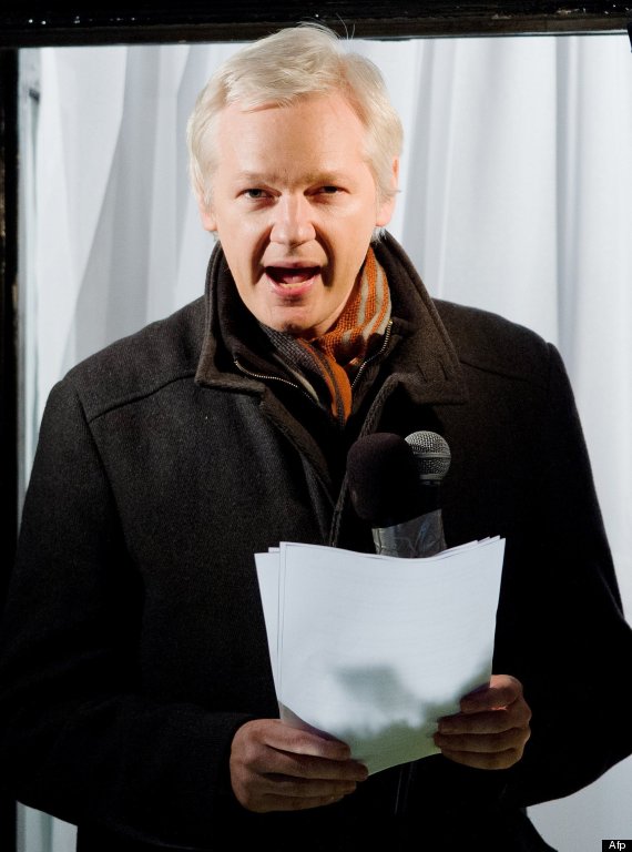assange película 2013