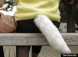 Couples Can't Hide Feelings With Tell-Tale Tail