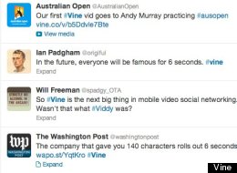 The 10 Vines That You HAVE To See...