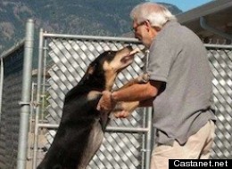 Dog Fight Costs B.C. District $100,000