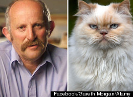 Facebook/Gareth Morgan/Alamy - s-NEW-ZEALAND-CAT-BAN-large