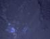 PHOTOS: First Glimpse Of Mars After Dark