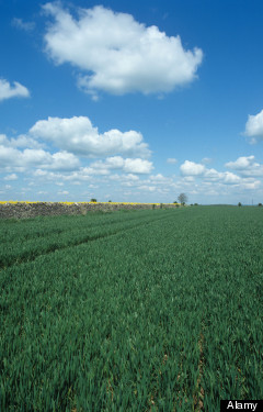  <HH--PHOTO--WILTSHIRE--960747--HH>