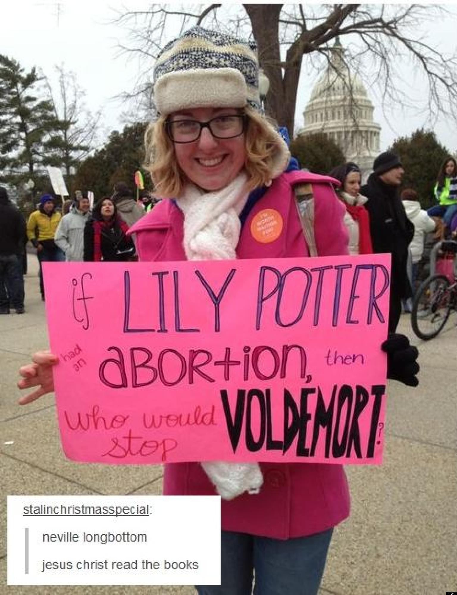 Pro-Life 'Lily Potter' Sign: Pro-Choice Redditor Gives Points For