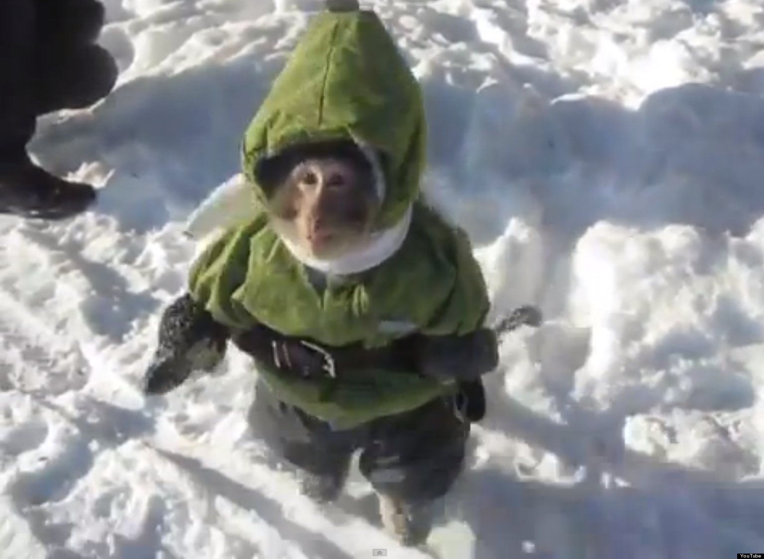 Baby Winter Set Thick Top Bib Pants Child Cartoon Monkey With A A Monkey Plays In The Snow Wearing Jacket Video Huffington Post