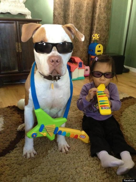 dog baby rock band