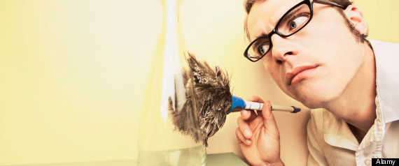 Men Housework Less Sex