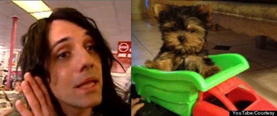 Criss Angel Puppy