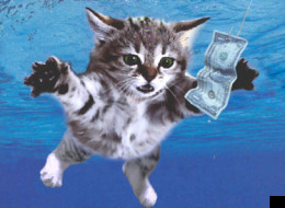 Kittens Do It Better