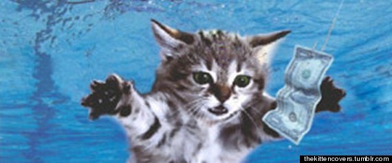 Gatos En Portadas De Discos