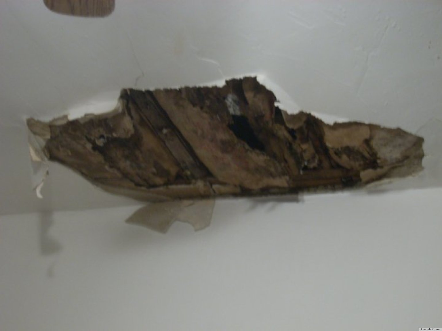 The 10 Worst Apartment Stories We've Ever Heard HuffPost