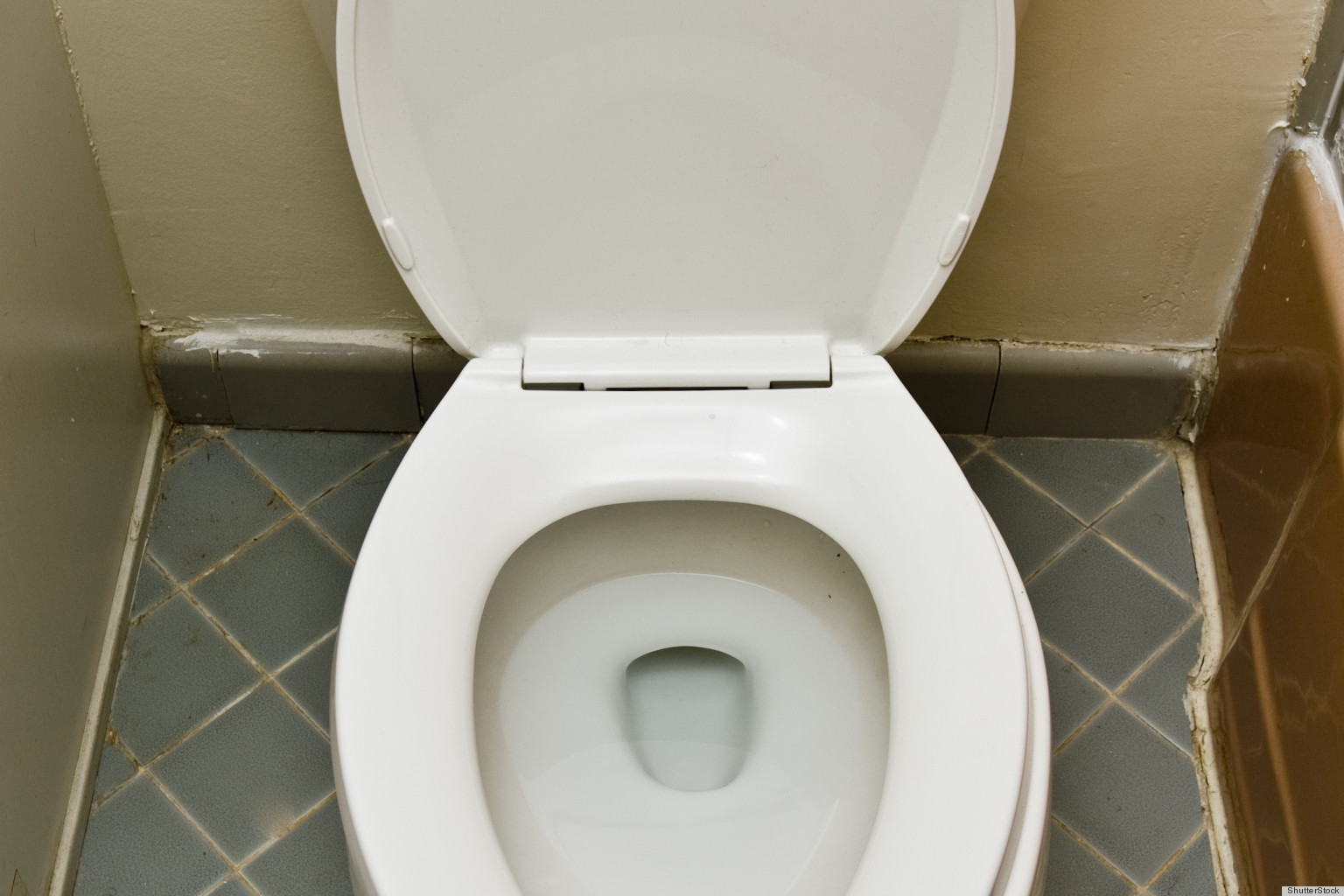Remove Rust Stains From Your Toilet With A Pumice Stone To