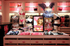 Victoria's Secret Mastectomy Bras A Likely Reality...