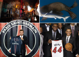 Pictures Of The Week From The Huffington Post Picture Desk