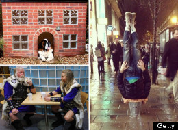 The Week In (Silly) Pictures