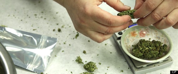 Marijuana Laws Canada