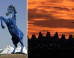 DIA Mustang Eligible For Removal Soon