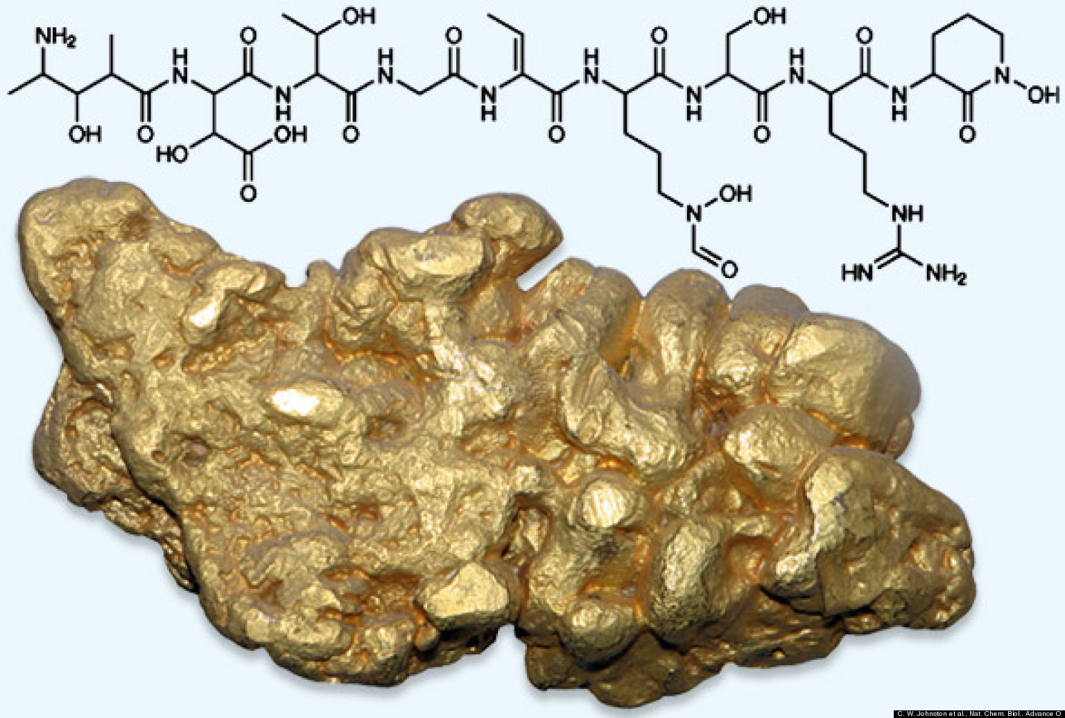 GoldProducing Bacteria Turn Toxic Ions Into Precious Metal, Scientists