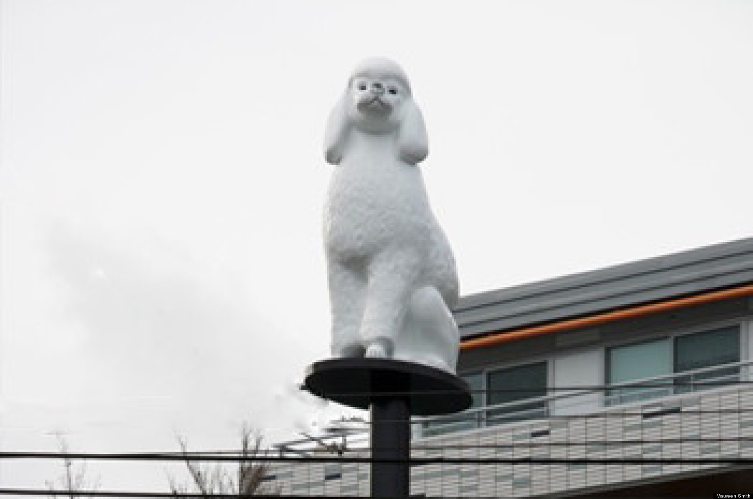 Main Street Poodle Vancouver Art Installation Gets Mixed Reviews