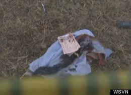 WATCH: Mail Carrier Survives Vicious Attack