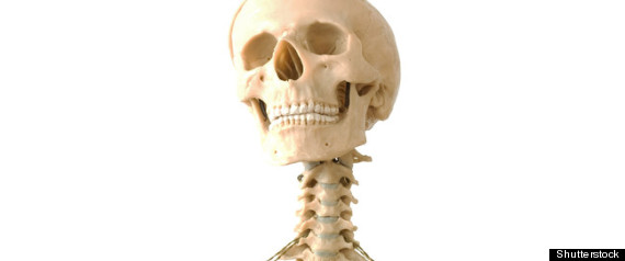 Strong Bones