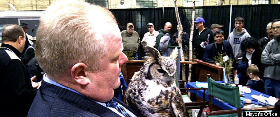 Rob Ford Owl