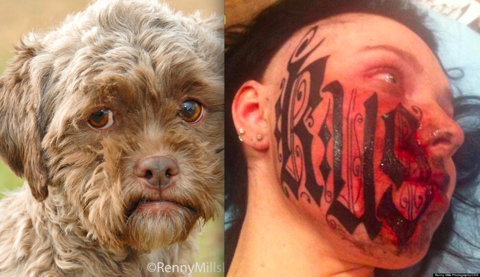 Dog With Human Face Not So Beastly (Weird News Top 10)