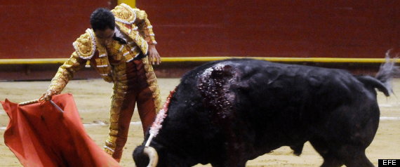 Toros
