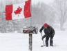 NEWFOUNDLAND SNOWSTORM