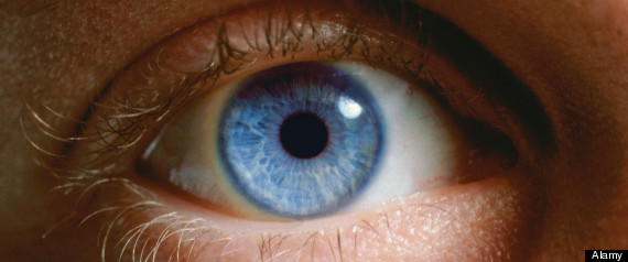 Eye Health